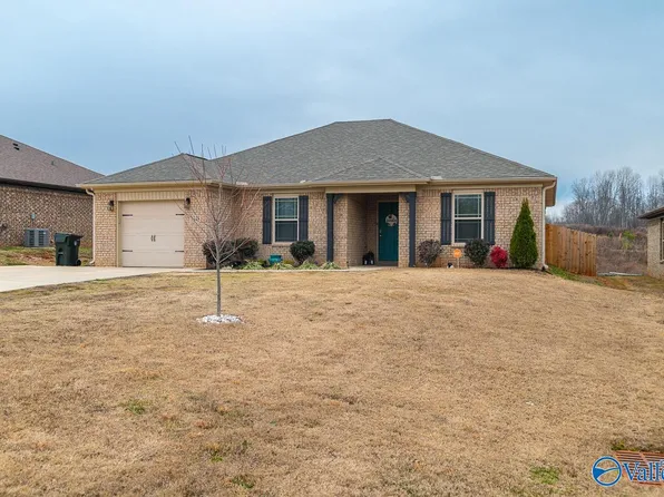 1348 Mount Lebanon Rd, Toney, AL 35773