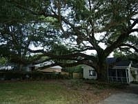 1st image of 1176 Braddock Ave