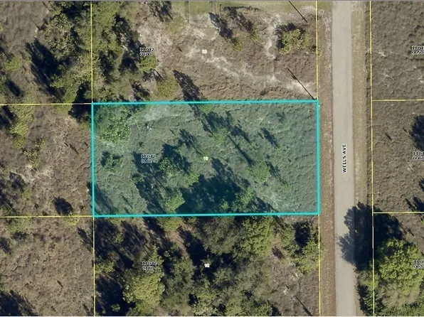 1913 Wells Ave, Lehigh Acres, FL 33972
