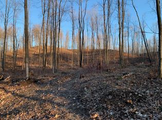 Chief Rd, Bear Lake, MI 49614