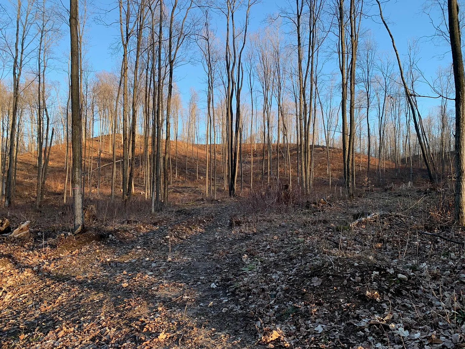 Chief Rd photo 1