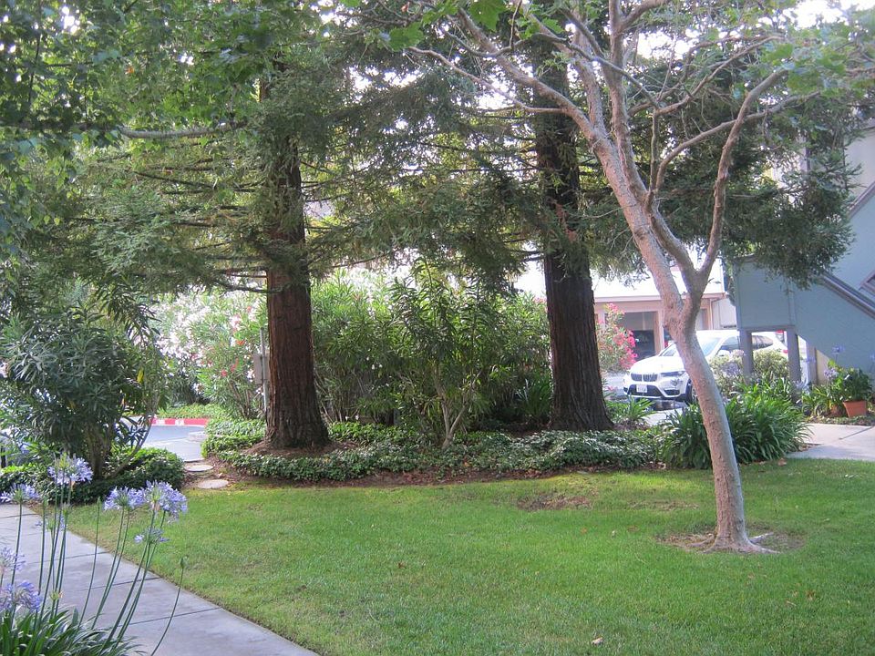Common Area