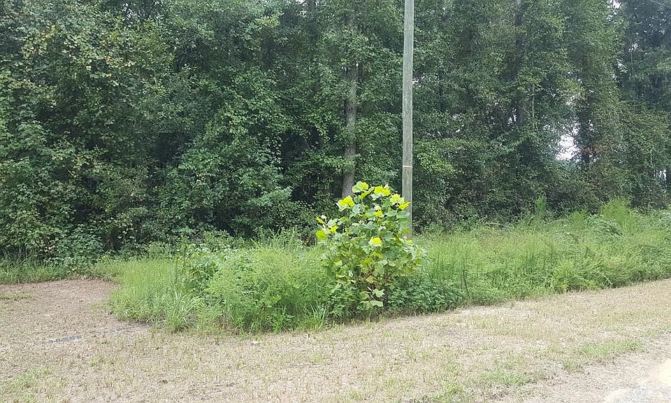 2nd image of 380 Corey Trl