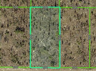 0 Scissorbill Ave, Brooksville, FL 34614