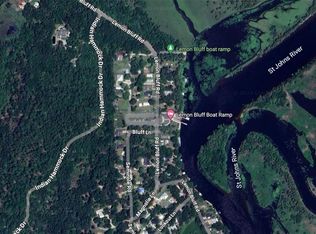 Lemon Bluff Rd LOT 2, Osteen, FL 32764