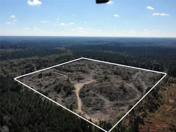 1297 Shiloh Rd, Bienville, LA 71008