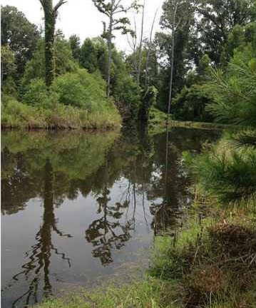2nd image of Woodside Dr