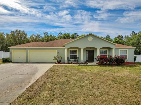 10442 Bloomfield Hills Dr, Seffner, FL 33584