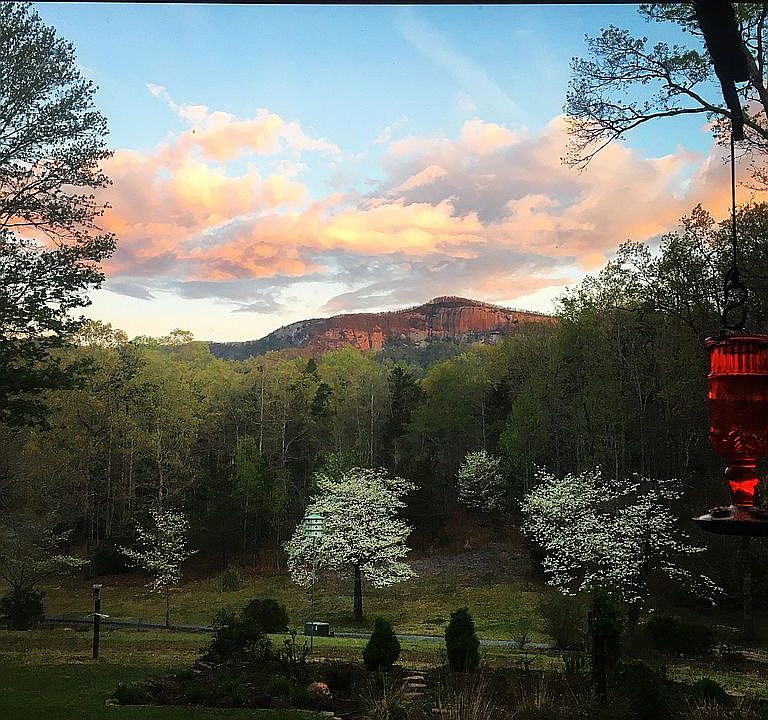 kitchen sink view!!!