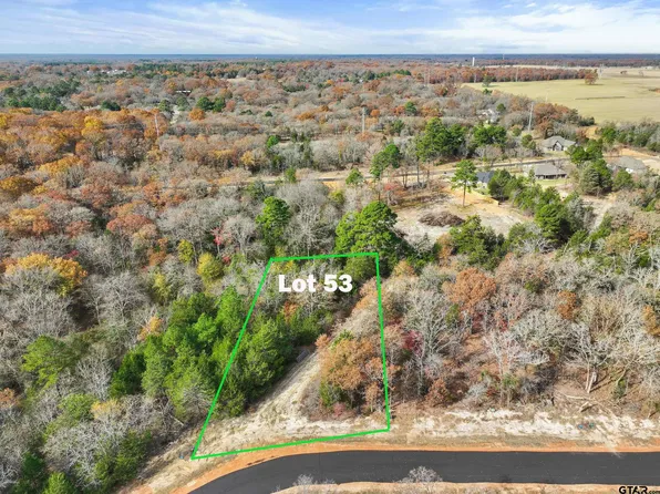 Private Road 6305 Lot 53, Mineola, TX 75773