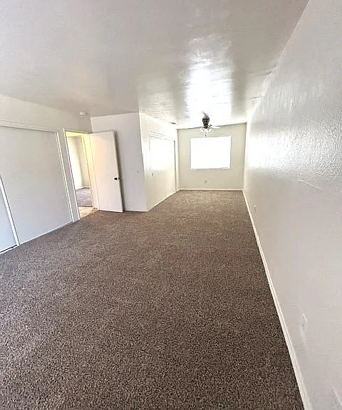 165 Tiger Ln — Photo 11