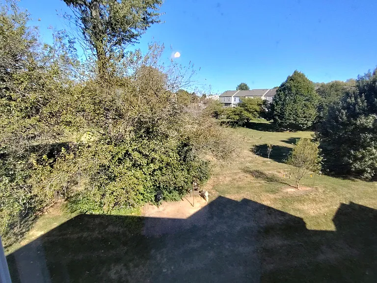 View from Second Bedroom