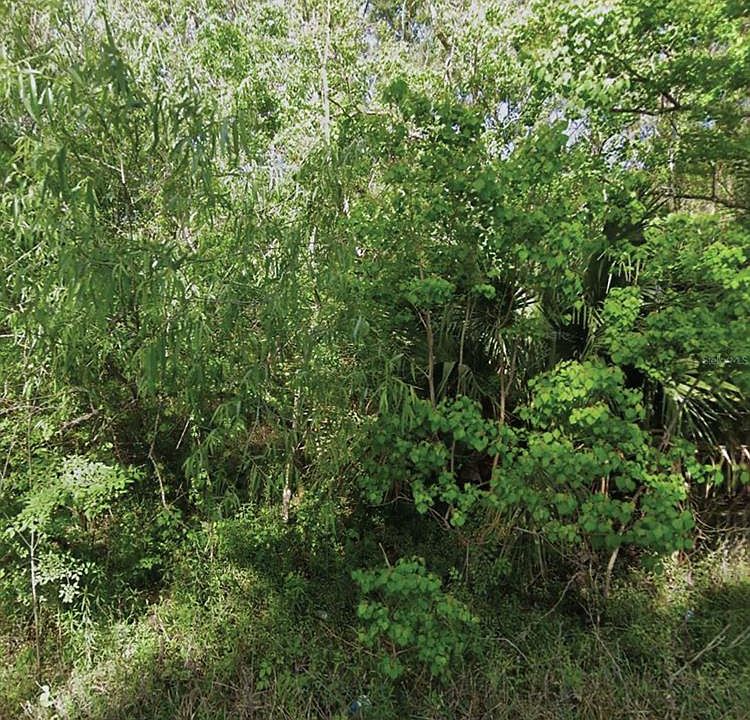 1st image of NE 132ND AVENUE LOT 5