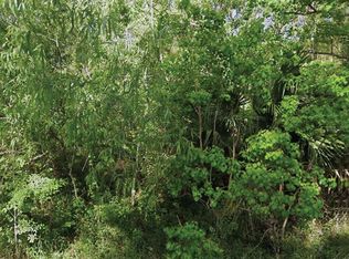 NE 132nd Ave LOT 5, Silver Springs, FL 34488