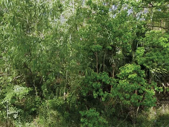 NE 132nd Ave Lot 5, Silver Springs, FL 34488