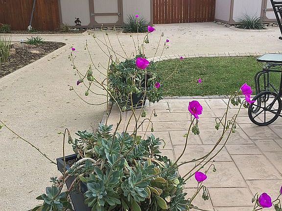 His and her storage sheds 