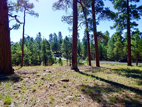 4th image of 2096 Pine Canyon Dr