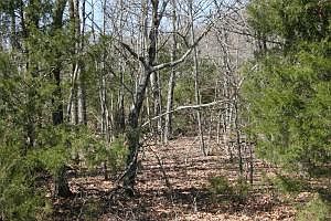 2nd image of Creel Road Ac #10.44