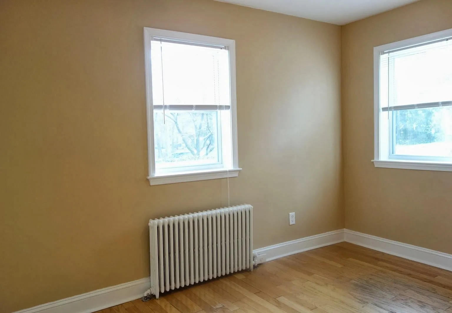8105 Greenwood Avenue DGY LLC — Photo 4