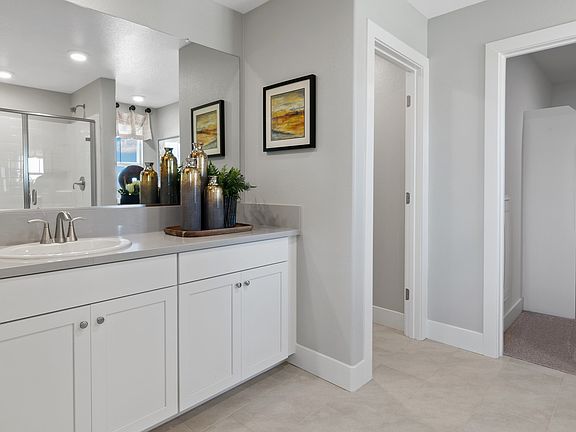 Owner s dual sink
