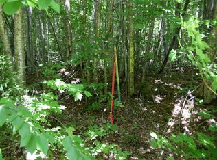 MSO3 L16 Flow Road, Carrying Place Twp, ME 04961