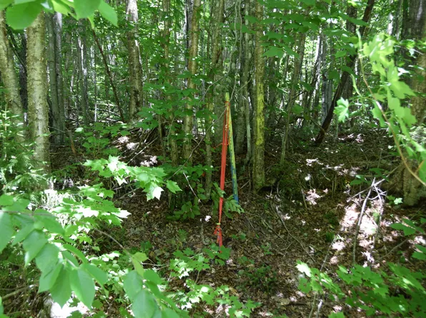 MSO3 L16 Flow Road, Carrying Place Twp, ME 04961