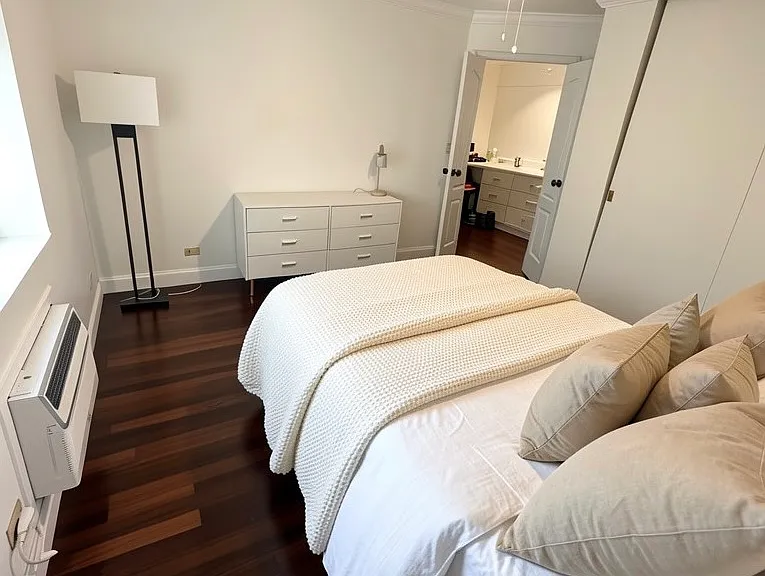 253 E Delaware Pl #21F — Photo 12