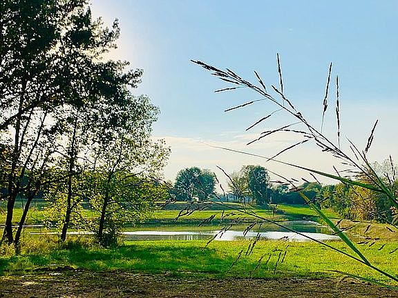 Lots $80,000-$175,000