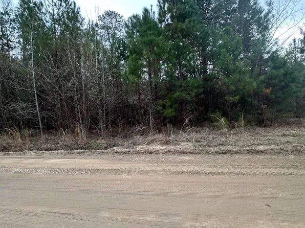 385 Shearwood Rd, Guyton, GA 31312