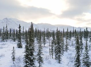 B1 L3 Denali Jack River Cyn, Cantwell, AK 99729