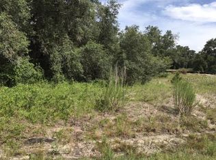 334 Amberjack Ct #8, Kissimmee, FL 34759