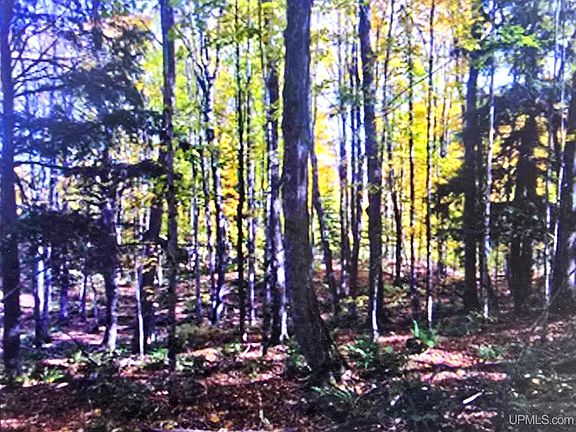 2nd image of Orange Road Blue Rd