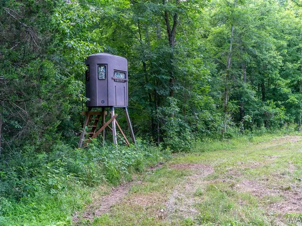 21202 Highway Mm Gln, Glenallen, MO 63751