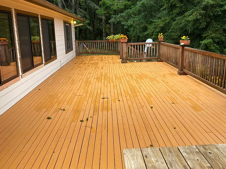 557 Waynes Ridge Cir — Photo 3