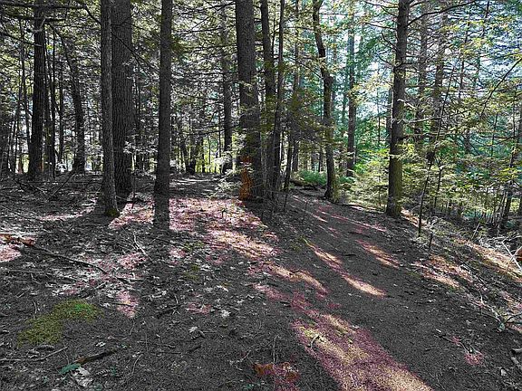 5th image of 39 Monadnock Road