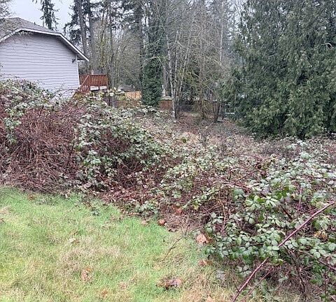 4th image of 14708 SE 145th Place