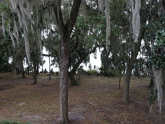 View of Lake from Unit