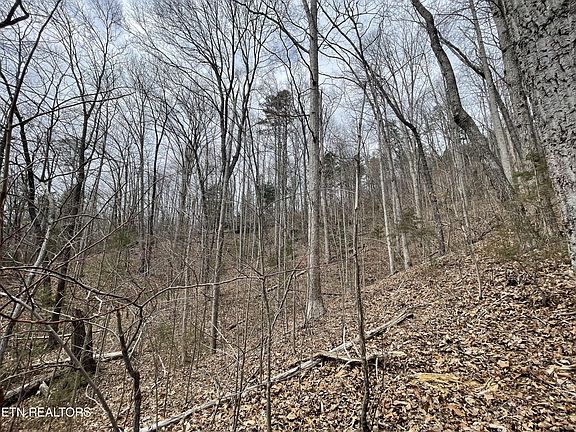 5th image of 119 Laurel Lake Cir Lot 119