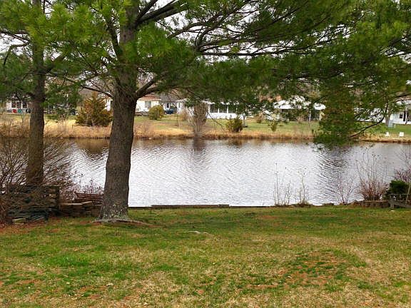3rd image of 262 Harrington Dr N