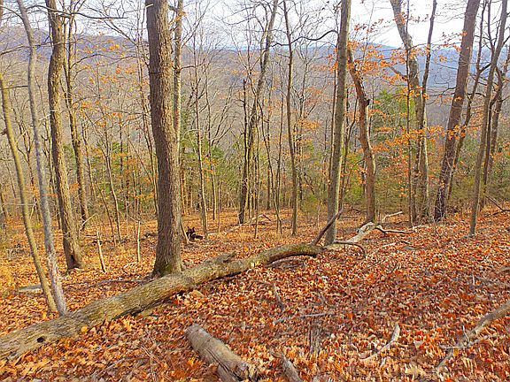 4th image of 19975 Posy Mountain Dr
