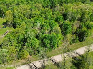 W Island Rd, Fowler, MI 48835
