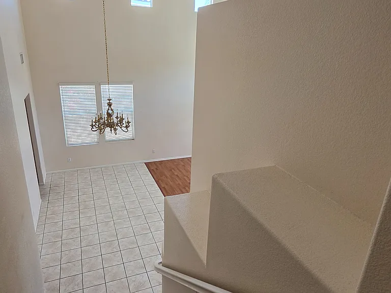 26232 Palm Tree Ln — Photo 12