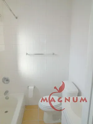 Rented by Magnum Realty Holdings, LLC | media 15