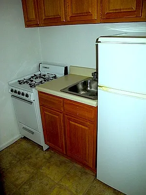 Rented by Manhattan Flats | media 32