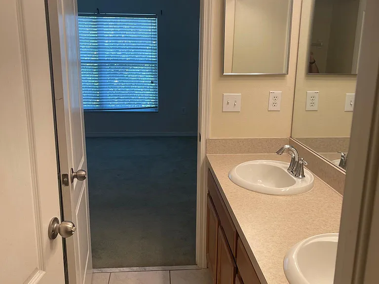 4213 Winding Vine Dr — Photo 24
