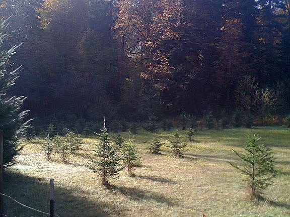 2nd image of 24800 High Pass Rd