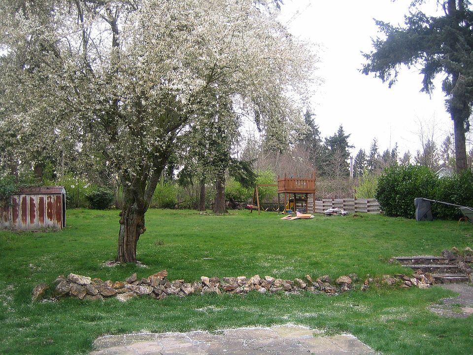 backyard 1/3 acre