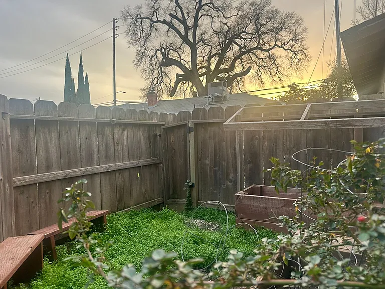 Lupin Manor — Photo 10