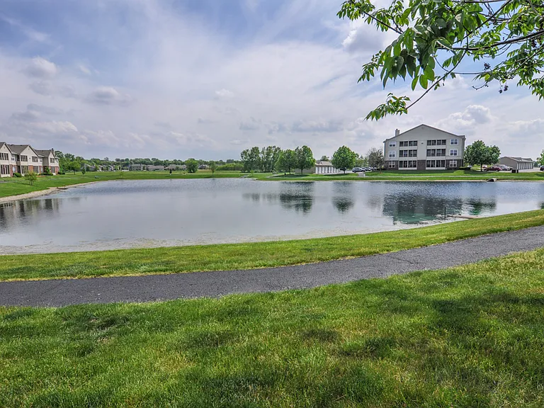 Pond During the Day