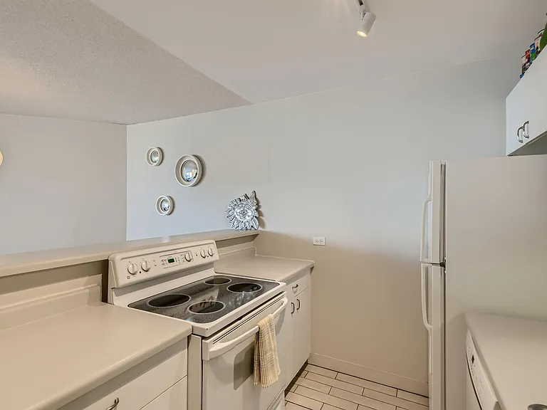 5320 N Sheridan Rd #2404 — Photo 4